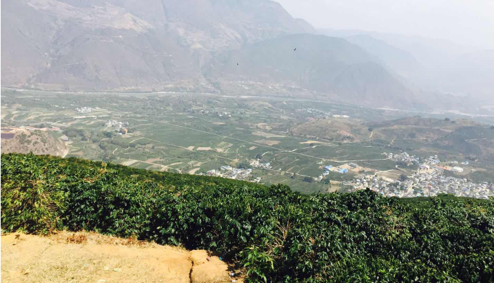 文章封面